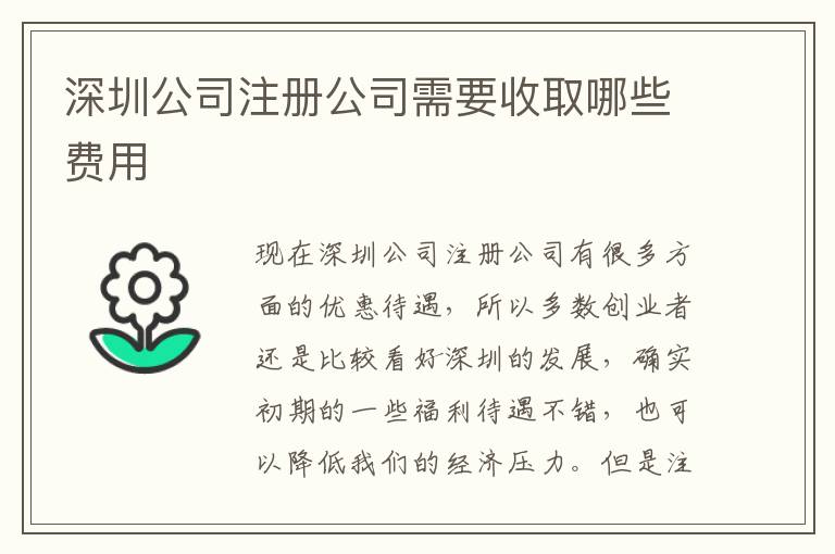 深圳公司注冊公司需要收取哪些費用
