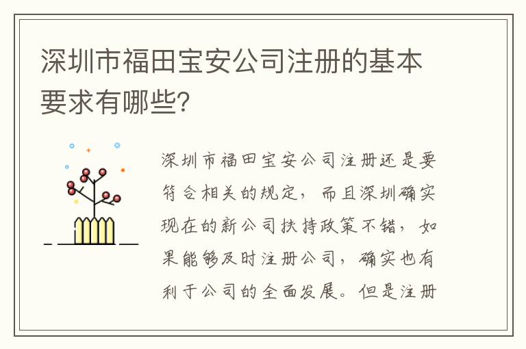 深圳市福田寶安公司注冊的基本要求有哪些？