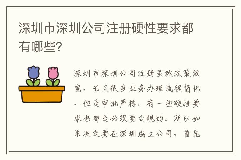 深圳市深圳公司注冊硬性要求都有哪些？
