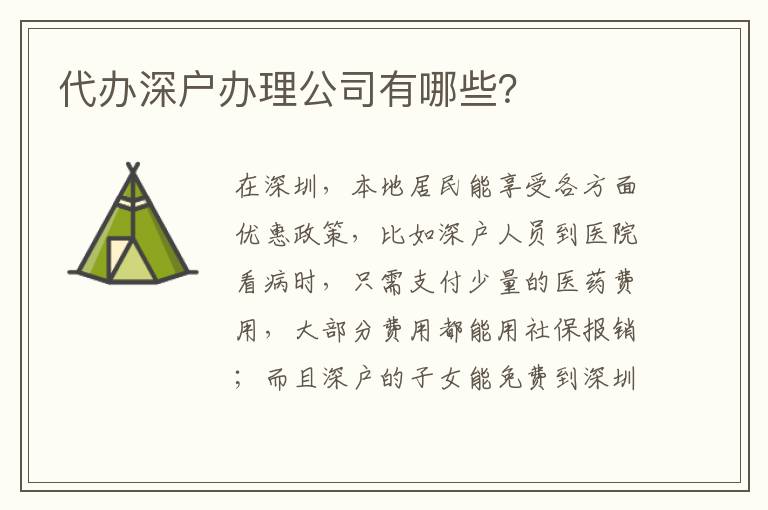 代辦深戶辦理公司有哪些？