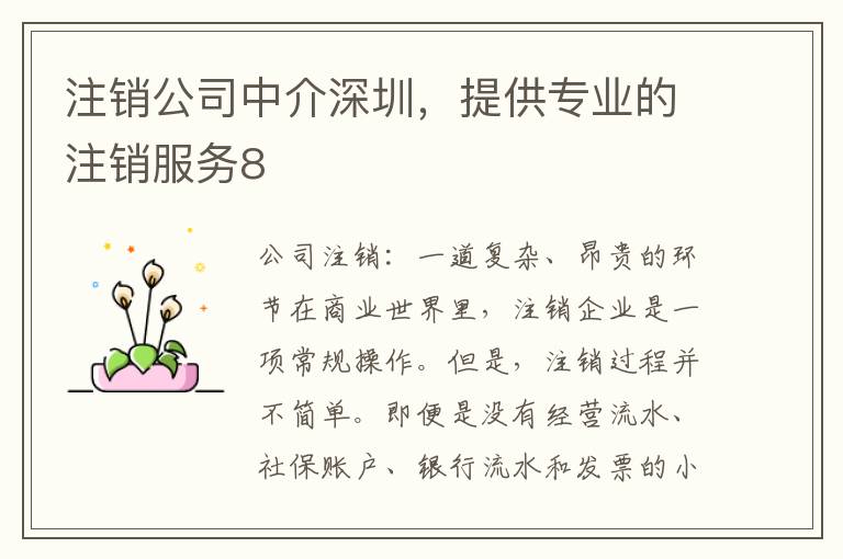 注銷公司中介深圳，提供專業(yè)的注銷服務8