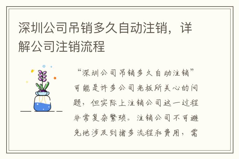 深圳公司吊銷多久自動注銷，詳解公司注銷流程