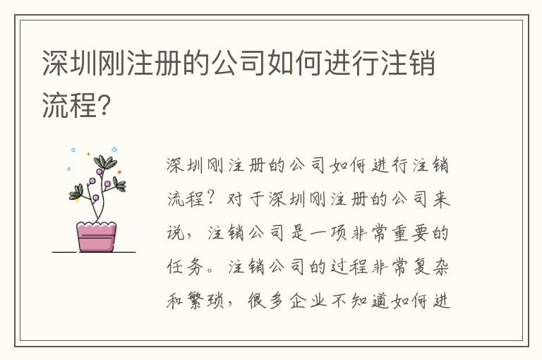 深圳剛注冊的公司如何進行注銷流程？