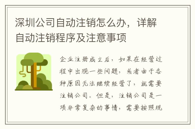 深圳公司自動注銷怎么辦，詳解自動注銷程序及注意事項