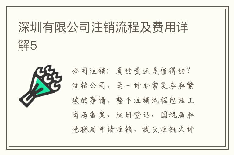 深圳有限公司注銷流程及費用詳解5