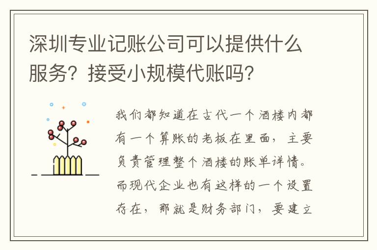 深圳專業記賬公司可以提供什么服務？接受小規模代賬嗎？