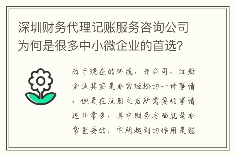 深圳財務代理記賬服務咨詢公司為何是很多中小微企業的首選？